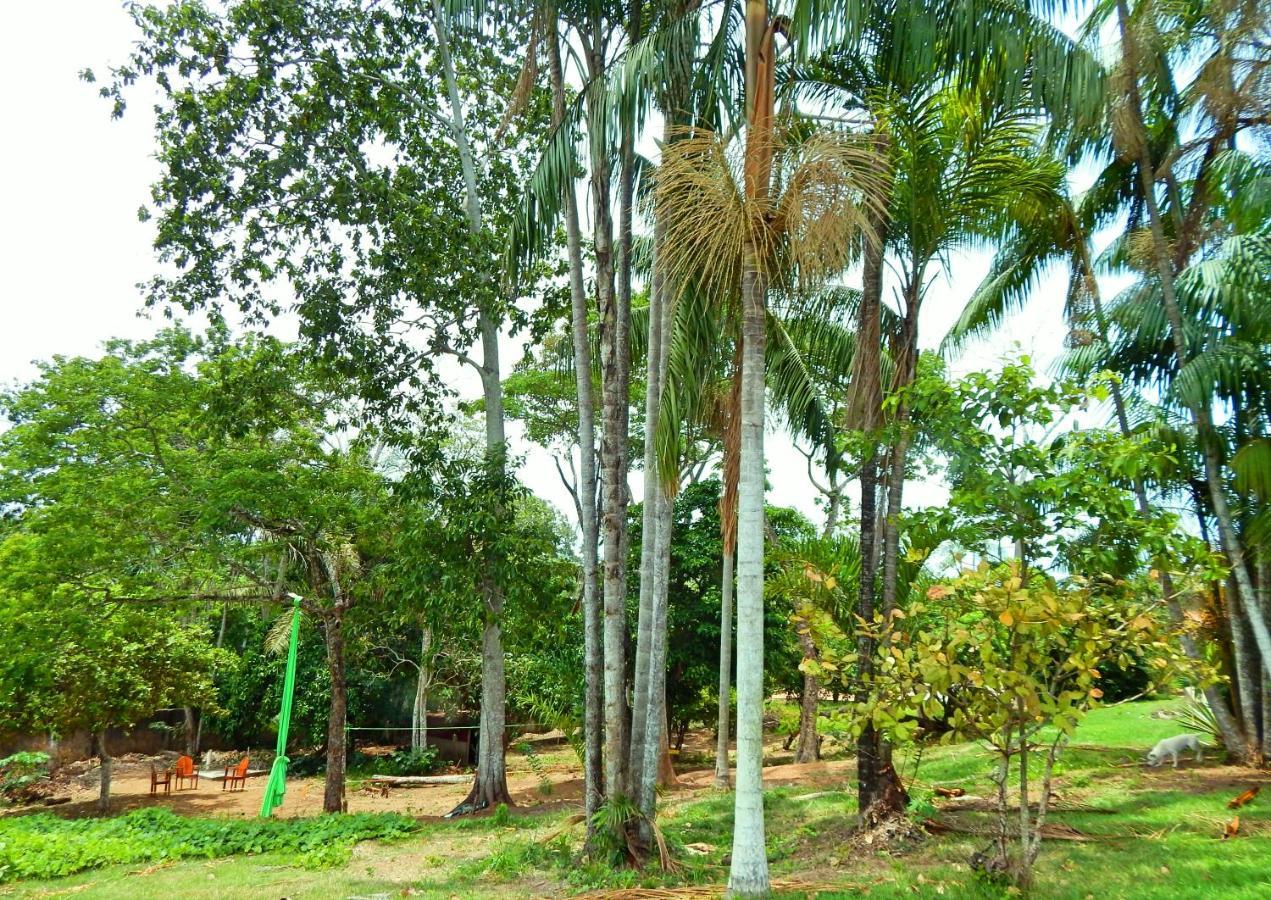 Jardins Guesthouse Rio Branco Luaran gambar